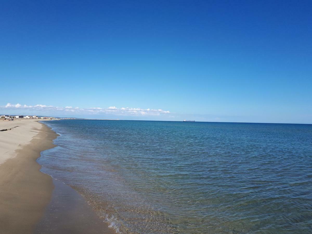 Mediterranee سيجيان المظهر الخارجي الصورة